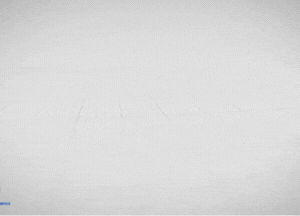 3D Build logo Animetion CODE 1008