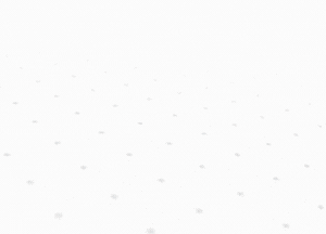 Logo animetion Code 1021